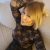 Bursa Merkez altıparmak Trans Escort bayan Merve Sadece Anal - Görsel24